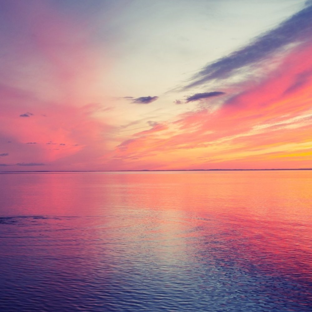 Meet your Posher, Mary <3